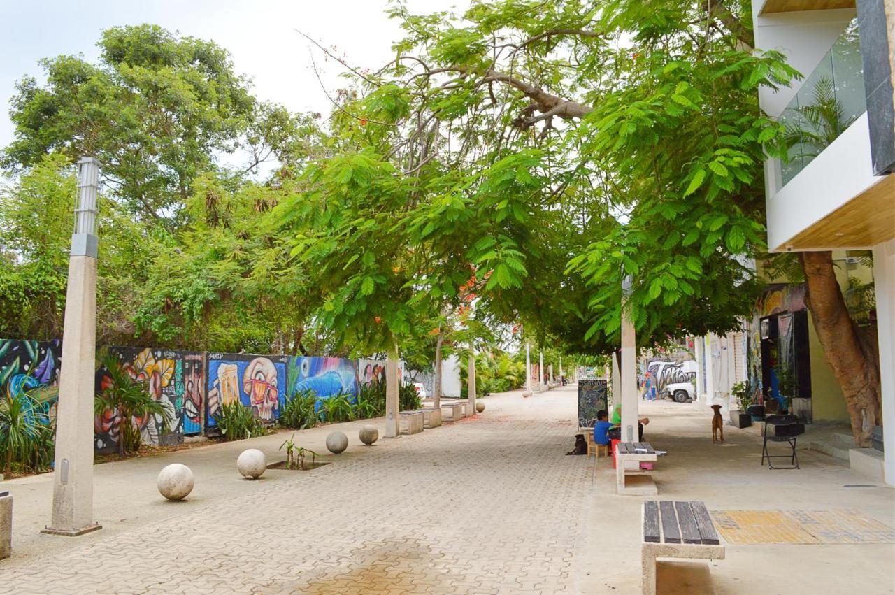 Brand New! Fully Equipped Studio Right On 5th Ave Playa del Carmen